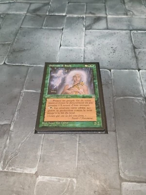 MTG Magic The Gathering Willow Priestess Homelands LP Green Rare Portuguese - Image 1 of 2