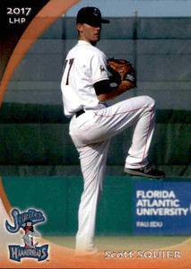 2017 Jupiter Hammerheads Grandstand #31 Scott Squier Phoenix Arizona AZ Card