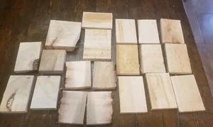 20pc Maple Knife Scales Arts Crafts m583 (Assorted Box Various Figure) - Picture 1 of 4
