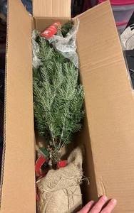 National Tree Company, 3 Foot Pre-Lit Christmas Tree,  New Open Box, Warm White - Picture 1 of 11