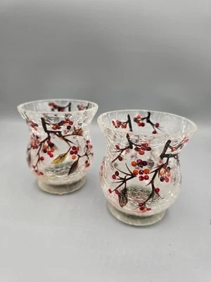 Комплект из 2 подсвечников YANKEE Crackle Berry Glass Votive Holder / Hurricane, 3,5 x 2,75 дюйма - Изображение 1 из 4