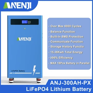 Batteria 15,36KWh 48V 300Ah LiFePO4 accumulo casa backup energia per solare off-grid - Foto 1 di 11