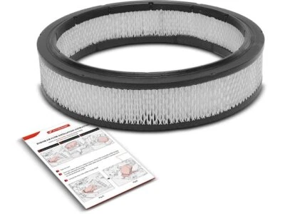 Filtro de aire Buick Skylark APR 37754DNTN para 1968, 1970-1971, 1977 Foto 1 de 2