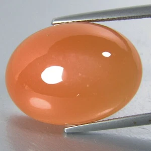 18.15Cts Natural Earth Mined Orange Moonstone Cabochon 18x13mm Oval Shape Gem - Picture 1 of 3