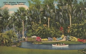 Postal escénica de la naturaleza sinuosa vías fluviales jardines de cipreses de Florida - Imagen 1 de 2