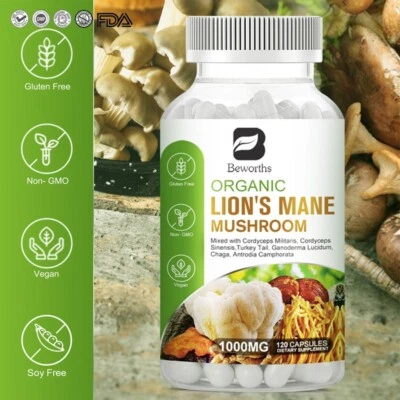 1000 mg de hongo orgánico de melena de león nootrópico cerebro memoria enfoque apoyo inmunológico Foto 1 de 4