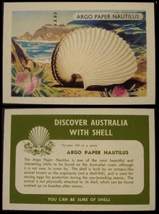 Discover Australia with Shell 1960's No 104 "Argo Paper Nautilus" free post. - Picture 1 of 3