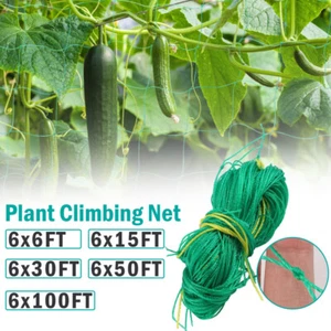 6/50/100FT Grow Climbing Net Trellis Netting Mesh Nylon Polyester Plant Support - Picture 1 of 27