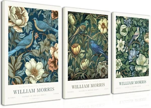 Canvas Wall Art Vintage Poster Prints Framed Set of 3 Botanical Bird Aesthetic - Picture 1 of 12