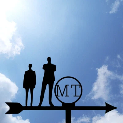 Weather vane from the Taskmaster show, Taskmaster House Weathervane - Image 1 of 4