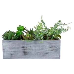 Plantas suculentas mixtas artificiales Northlight 11,75" en maceta rectangular - Imagen 1 de 6