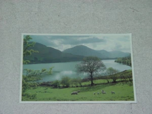 Loweswater Post Card - Picture 1 of 4