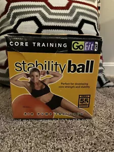 Stability Exercise Ball +Air Pump 55cm Go Fit Workout Inflatable Gym Ball - Picture 1 of 4