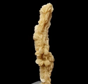 BARYTE pseudostalactite & TOP LW fluorescent +++ POLAND Lubin Copper Mine /ph945 - Picture 1 of 14