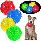 Pet Dog Squeaky Rubber TPR Chew Balls Bouncing Spiky Ball Puppy Teeth Play Toys