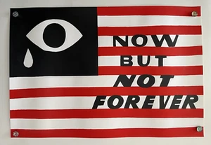 Poster protesta Jon Contino stampa artistica 2020 25" x 17" bandiera USA BLM - Foto 1 di 8