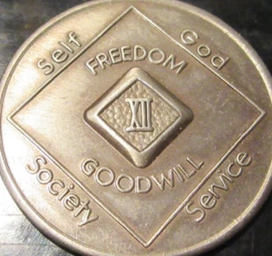 12 Year Narcotics Anonymous NA Medallion Dark Coin 1996 WSO Series Token - Bild 1 von 9