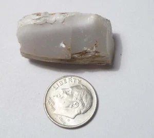 Awesome!  Virgin Valley WHITE Opal Petrified Wood Log Nevada 40 cts - Picture 1 of 9