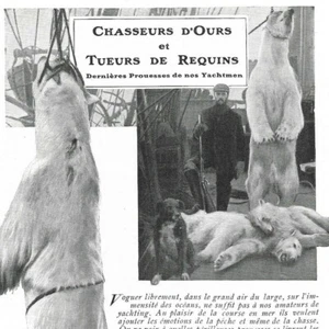 Chasseurs d'ours et tueurs de requins - Yachtmen  - Article de presse 1909 - Picture 1 of 4