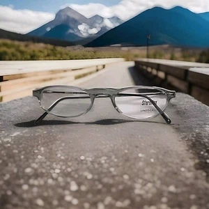 Sferoflex 1040 L534 Smoke Grey Eyeglass Frames Made In Italy 48/20/135 - Picture 1 of 7