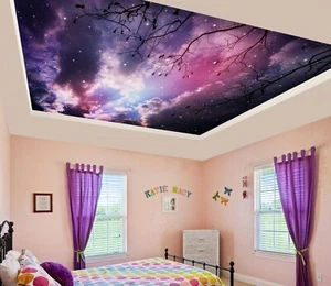 3D Winter Sky G4272 Ceiling WallPaper Murals Wall Print Decal Deco Erin 2023 - Picture 1 of 5