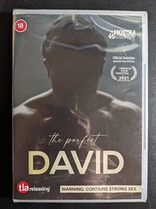 The Perfect David (DVD, 2022) - Picture 1 of 2