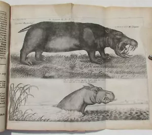1682 HISTORY of ETHIOPIA KINGDOM OF ABESSINIA ILLUSTRATED antique in ENGLISH - Picture 1 of 12