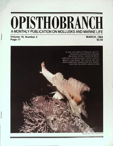 Opisthobranch A Monthly Publication Of Mollusk And Marine Life 1984 - Imagen 1 de 3