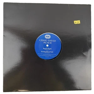 Craig David Fill Me In Vinyl 12" Sunship Remixes 2000 Single UK Garage Record - Picture 1 of 4