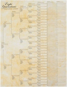 15 Pack Family Tree Charts to Fill In Eight Generation Genealogy Poster 17x22 - Picture 1 of 9