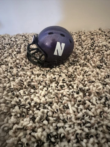 NCAA BIG-10 Northwestern Wildcats Pocket Size Riddell Football Helmet Cover