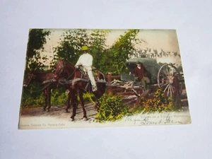 Carro antiguo de caballos de hombre Habana Cuba postal plantación de tabaco 1905 - Imagen 1 de 14