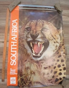 Póster vintage de cachorro de león - Imagen 1 de 8