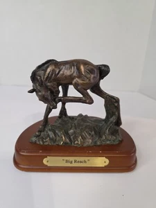 Montana Lifestyles By Montana Argentiere Cavallo Puledro "Big Reach" A3432 - Foto 1 di 6