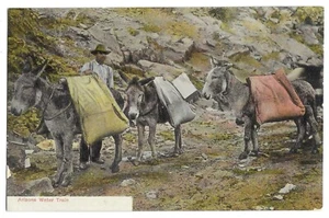 Postal de AZ Arizona 1910, tren acuático burro - Imagen 1 de 2