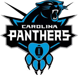 Carolina Panthers State NFL Weather Resistant Vinyl Die Cut Sticker Decal 08 - Picture 1 of 1