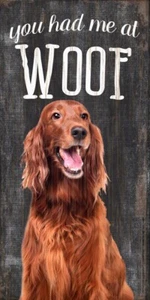 Letrero de Setter Irlandés - You Had me at WOOF 5x10 - Imagen 1 de 1
