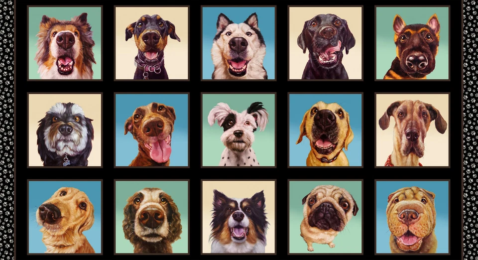 Dog Fabric 24" Panel Animal Dogs Follow Your Nose Black Cotton Elizabeths Studio - Image 1 of 1