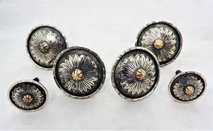 Juego de 6 tornillos para madera Hansen Conchos antiguo girasol placa plateada - Imagen 1 de 2