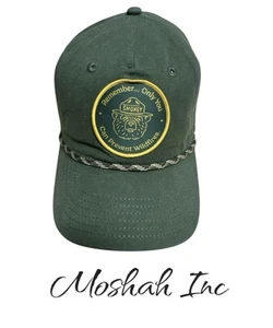 Smokey the Bear grün Snapback Patch Mütze Mad Engine Einheitsgröße Lizenzprodukt - Bild 1 von 4