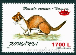 2000 Ermine,Mustela erminea/short-tailed weasel,Fur animal,Romania,Mi. 5465, MNH - Picture 1 of 1