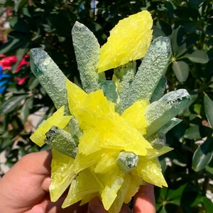 2.4LB New Find Green Phantom Quartz with Yellow sulfur Cluster Mineral Specimen - Picture 1 of 15