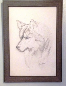 Dibujo de grafito original ""Husky"" para perro: COMPAÑERO 14"" x 18"" firmado lori clark - Imagen 1 de 6