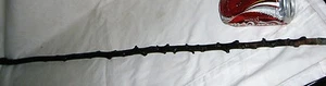 ANTIQUE 35 " BLACK IRISH THORN WOOD BURL KNOT SHILLELAGH MAN WALKING STICK CANE - Picture 1 of 9