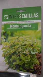 Semillas de Menta piperita en sobre cerrado Mentha piperita - Imagen 1 de 1