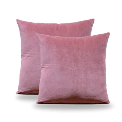 2 pack 20x20 Inch Velvet Pillow Coves Decorative Cushion Cases for Couch Sofa - Image 1 of 4
