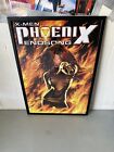 Vintage 2004 X-Men Pheonix Endsong Poster *Frame Not Included*