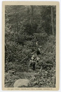 Hiking on MONT TREMBLANT Trail Laurentians Quebec Canada 1946 PHOTO TEX 21 - Imagen 1 de 2