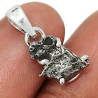 Natural Meteorite Campo Del Cielo 925 Sterling Silver Pendant Jewelry CP37439