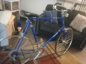 Panasonic Sport 1000 Vintage Racing Bike Made In Japan - Picture 1 of 4